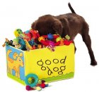 Speelgoed voor honden